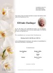 eine Anzeige