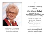 eine Anzeige