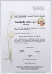 eine Anzeige